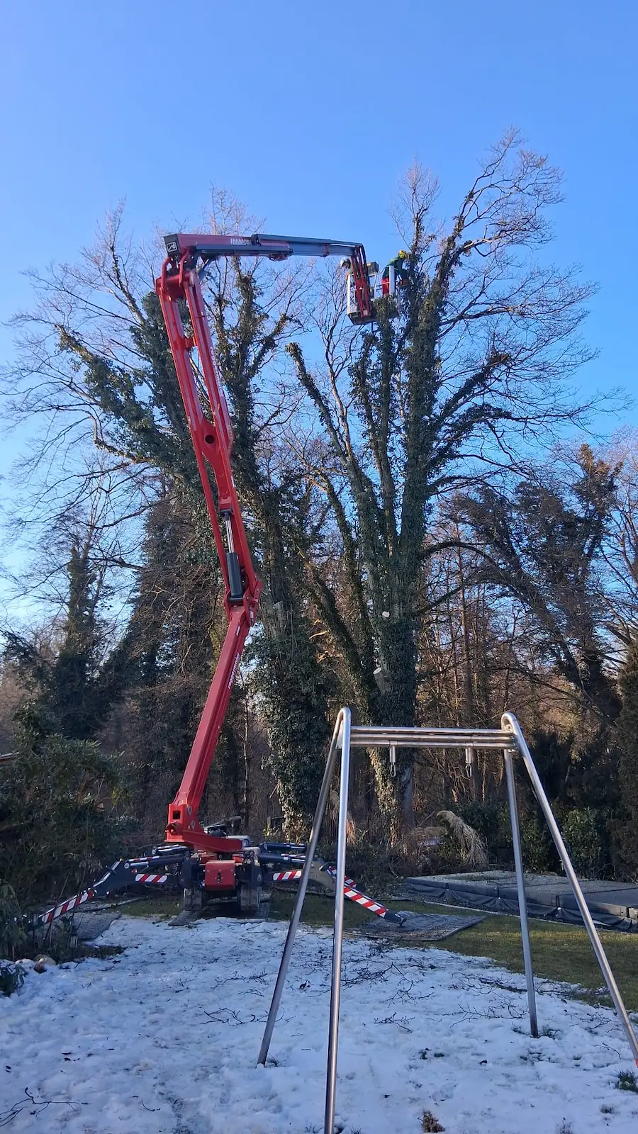 Baumpflege Starnberg